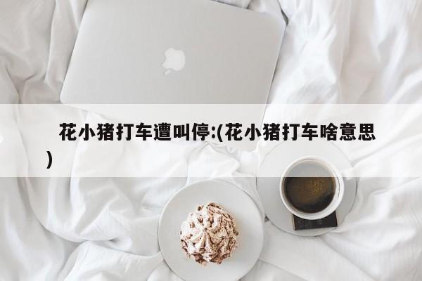   花小猪打车遭叫停:(花小猪打车啥意思)