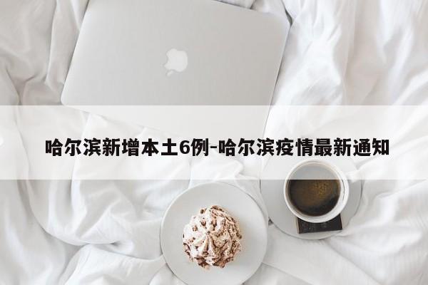  哈尔滨新增本土6例-哈尔滨疫情最新通知